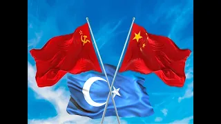 малоизвестные факты, уйгуры-1960-70, борьба за независимость.