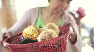 Documentary of Cacao Processing