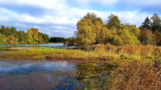 Пейзажи золотой осени. Красивая музыка. 16+. Landscapes of the golden autumn. Beautiful music.