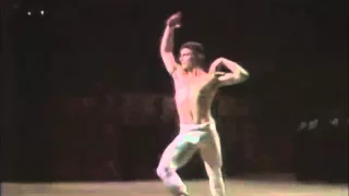 Le Corsaire - Two strange Ali variations - Lavrovsky, Villella