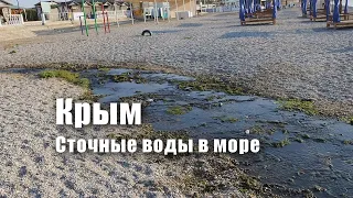 Шокирован от речки вонючки стекающей в море. Реалии Крыма в Коктебеле. #Shorts
