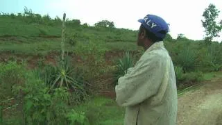 Ethiopia Project For Trees For The Future