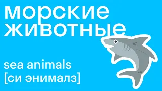 Морские животные на английском, учим вместе! Легко со skysmart!