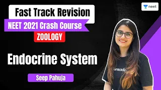 Endocrine System | Fast Track Revision | NEET Biology | Seep Pahuja