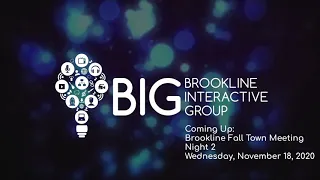 Brookline Fall Town Meeting Night 2 - November 18th, 2020