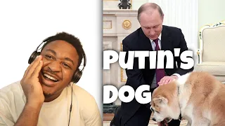 Putin jokes as his Japanese pet barks at Japanese journalists: Yume is no-nonsense dog! Reaction