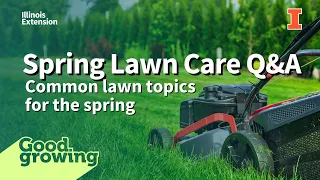 Answering Common Lawn Questions | #GoodGrowing