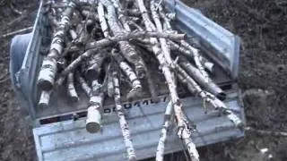 Квадроцикл Рысь-2 (поездка за дровами).