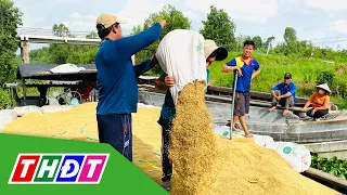 Xuất khẩu gạo: Giá bán đảo chiều sau tin Ấn Độ quay lại | THDT