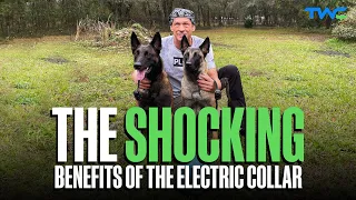 THE SHOCKING BENEFITS OF THE ELECTRIC COLLAR