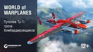 Туполев Ту-1: Гроза Бомбардировщиков