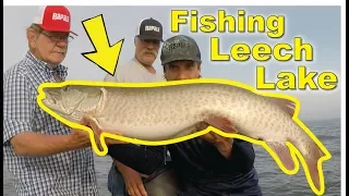 WALLEYE and MUSKIE fishing LEECH LAKE!