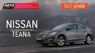 Тест-драйв - Nissan Teana 2014 (Наши тесты) - АВТО ПЛЮС