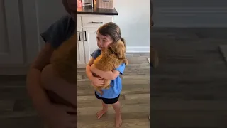 Little girl sobs as she holds her new puppy | Humankind #Shorts