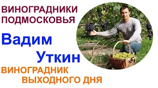 Подмосковные виноградники или в гостях у Вадима Уткина