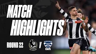 Brody bags 5 as the Pies down the Cats | Match Highlights: Round 22 v Geelong