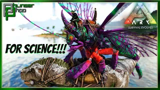 Rhyniognatha - The Science of the Perfect Tame! oh and Rhynignatha Taming Pen!