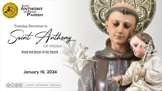 Tuesday Devotion to Saint Anthony of Padua | 7:30 AM Holy Mass | January 16, 2024