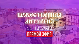 Божественная Литургия  (11.12.2022)