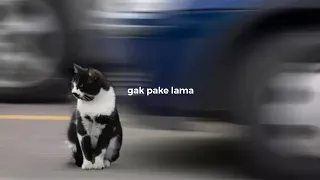 Gak Pake Lama - speedUp