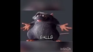 BALLS #beamed #cute #rat #meme #memes #360 #vr #friends #gorilatag