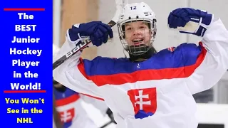 The Best Jr Hockey Player in the World, Lopušanová, Could Teach Matthews and McDavid a Few Things