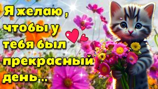 🌷🌼🌷Самого доброго весеннего утра!💗Благословенного дня!🌞💗Красивая музыкальная открытка🌷