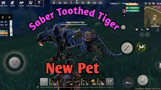 New Pet Saber Toothed Tiger. Last Island of Survival. New Update. #newpet #lios #newupdate