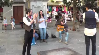 Flamenco dance (6) in Granada 2015