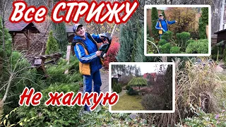 Все СТРИЖУ. Не шкодую  ХВОЙНІ рослини,кущі,верби.Велике косметичне прибирання Саду після ОКУПАЦІЇ.