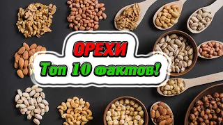 Орехи | Топ 10 интересных фактов