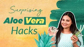 DIY: Try These Amazing Aloe Vera Beauty Hacks Now!