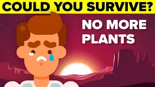 How Long Can You Survive If All The Plants In The World Die?