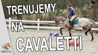 Trenujemy na cavaletti