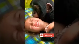 too cute babies | babies playing with baby chimpanzee #shorts #tiktok #funny
