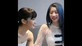 momo and dahyun confused