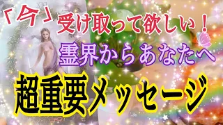 【鳥肌が立ちました🕊】あなたに霊界からの超重要メッセージ💌✨個人鑑定級タロット占い🔮⚡️