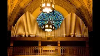 ÓRGÃO DA CATEDRAL BASÍLICA DE CURITIBA