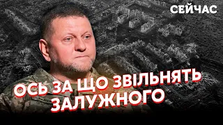 ☝️Ого! Для ВІДСТАВКИ Залужного знайшли ПРИЧИНУ. Зеленського ОБМАНУЛИ? Фронт стане ПРИВОДОМ — ЛАПІН