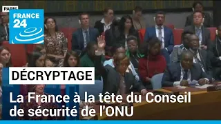 La France à la tête du Conseil de sécurité de l'ONU : quel rôle sur la question palestinienne ?