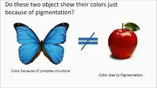 Photonic Crystals: Working principle