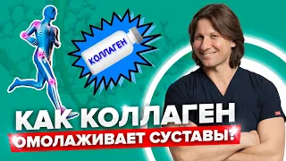 Какой коллаген лучше принимать для суставов, костей и кожи? Типы коллагена и их применение