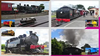 WW 480 in steam at the Glenbrook Vintage Railway (ft. DSA 551, DBR 1295 and DC 4536) ~ 30/12/2021