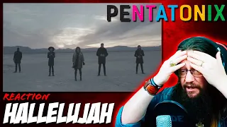 METALHEAD REACTS | PENTATONIX - "Hallelujah"