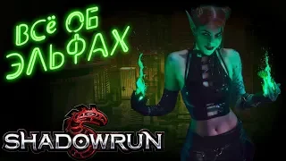 Метатип: Эльфы | Shadowrun