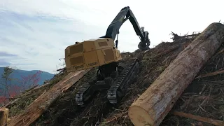 Logging In Western Oregon