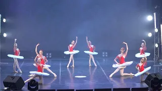 Школа классического балета "Little swan"