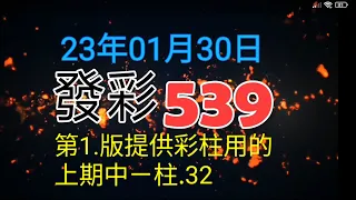 發彩第一版提供彩柱用的上期中ㄧ柱.32提供參考