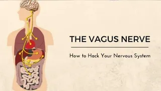 VAGUS NERVE | Neurology| Pathway | Cranial Nerve X