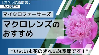 【カメラ技術解説】マイクロフォーサーズ「マクロレンズのおすすめ」～”いよいよ花のきれいな季節です！”～